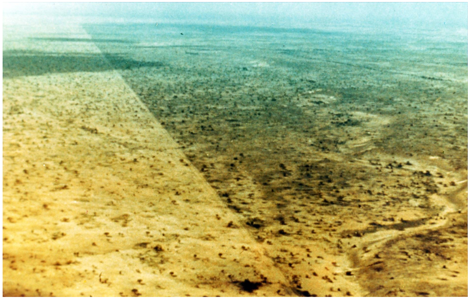 Desertification Happens When Raindrops Meet Him at the Bar Instead of Percolating into Groundwater: Stay Thirsty, My Friends